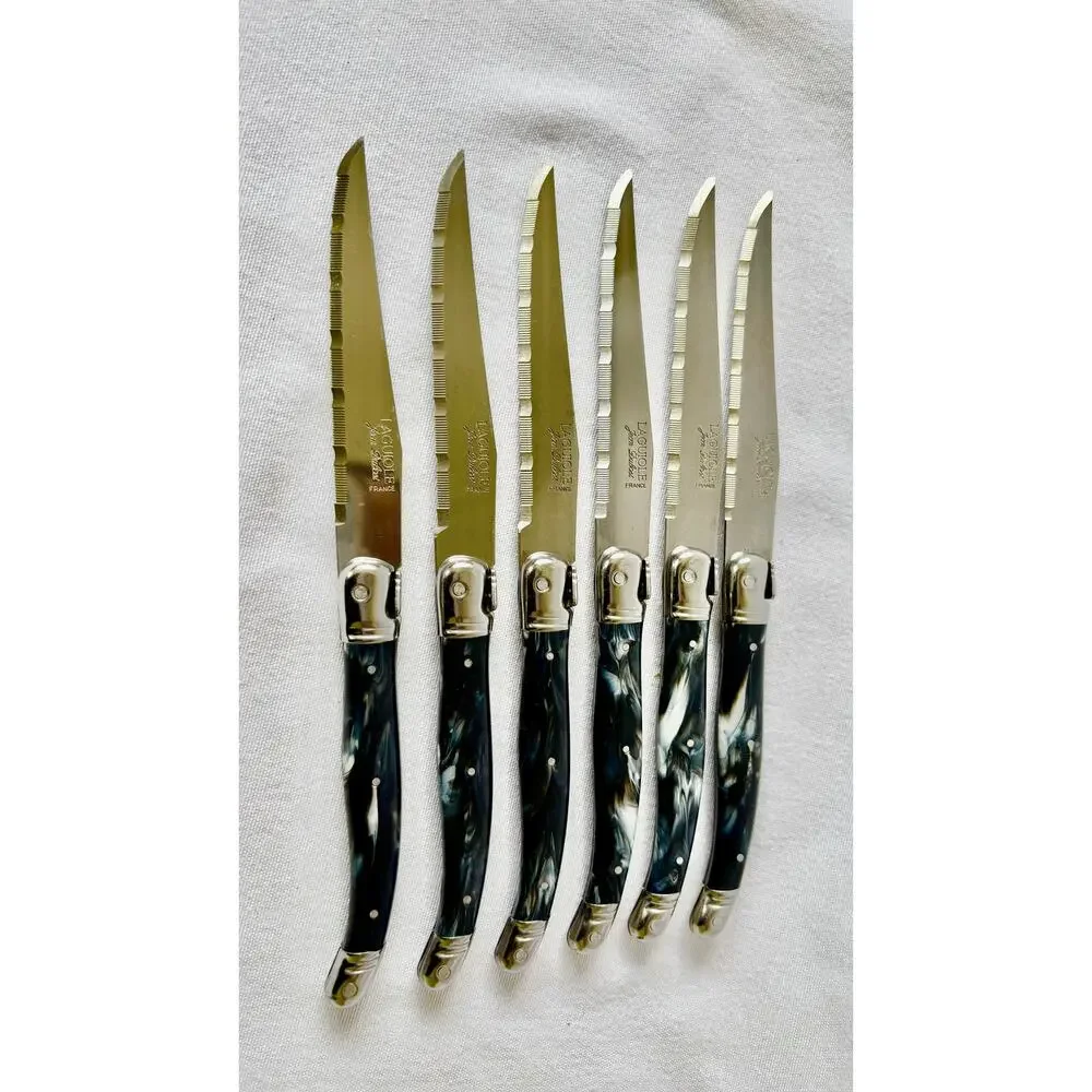 French Modern Laguiole  Stainless Steel Charcoal Gray Resin Steak Knives Set  6